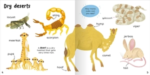 100+ first words - animals