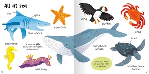 100+ first words - animals