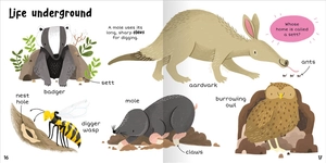 100+ first words - animals