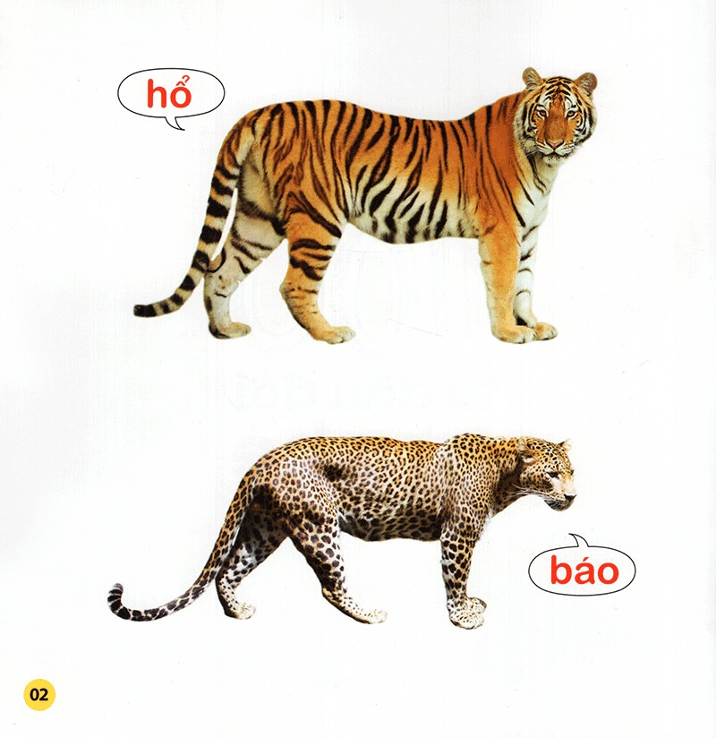 100 từ đầu đời của bé - con vật (tái bản 2023)