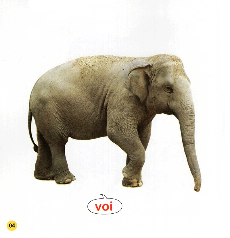 100 từ đầu đời của bé - con vật (tái bản 2023)