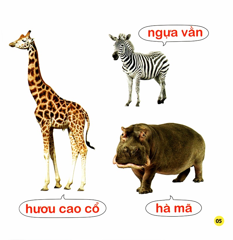 100 từ đầu đời của bé - con vật (tái bản 2023)