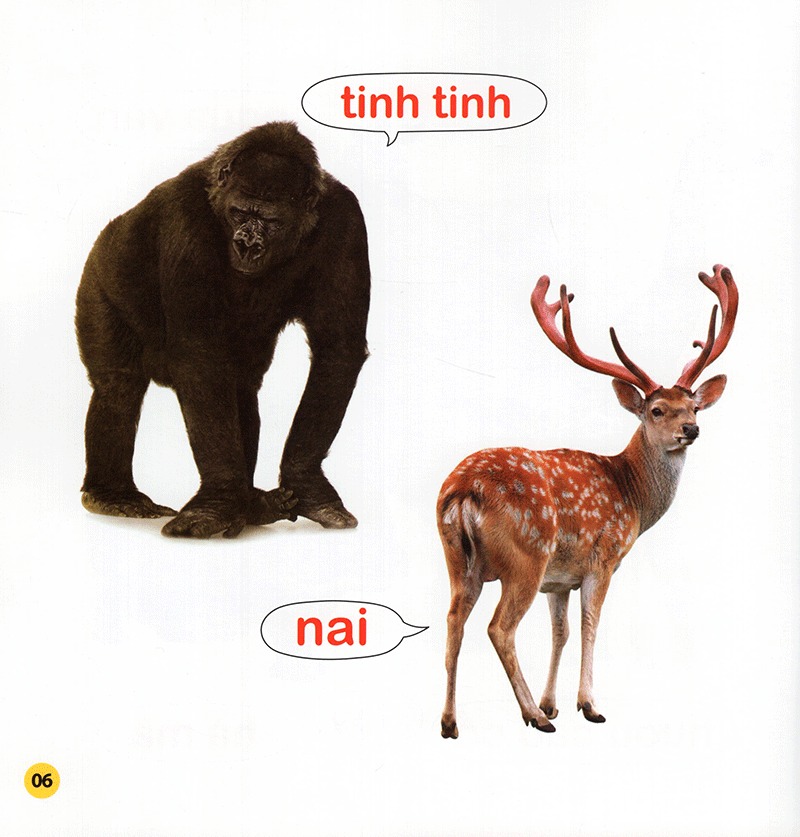 100 từ đầu đời của bé - con vật (tái bản 2023)