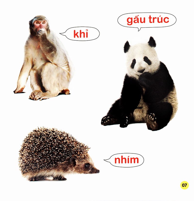 100 từ đầu đời của bé - con vật (tái bản 2023)