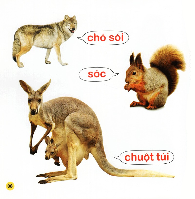 100 từ đầu đời của bé - con vật (tái bản 2023)