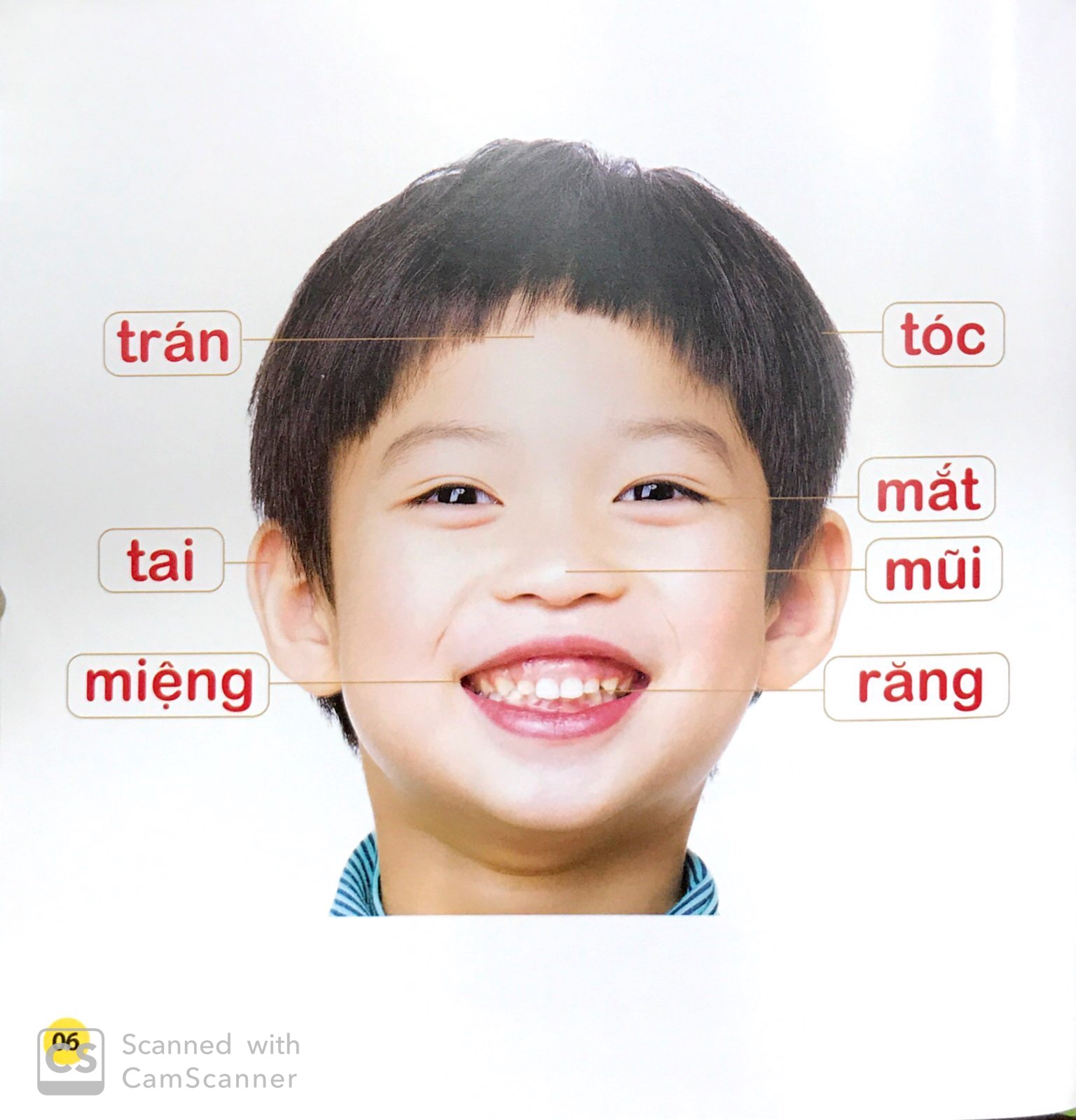 100 từ đầu đời của bé - gia đình yêu thương (tái bản 2023)