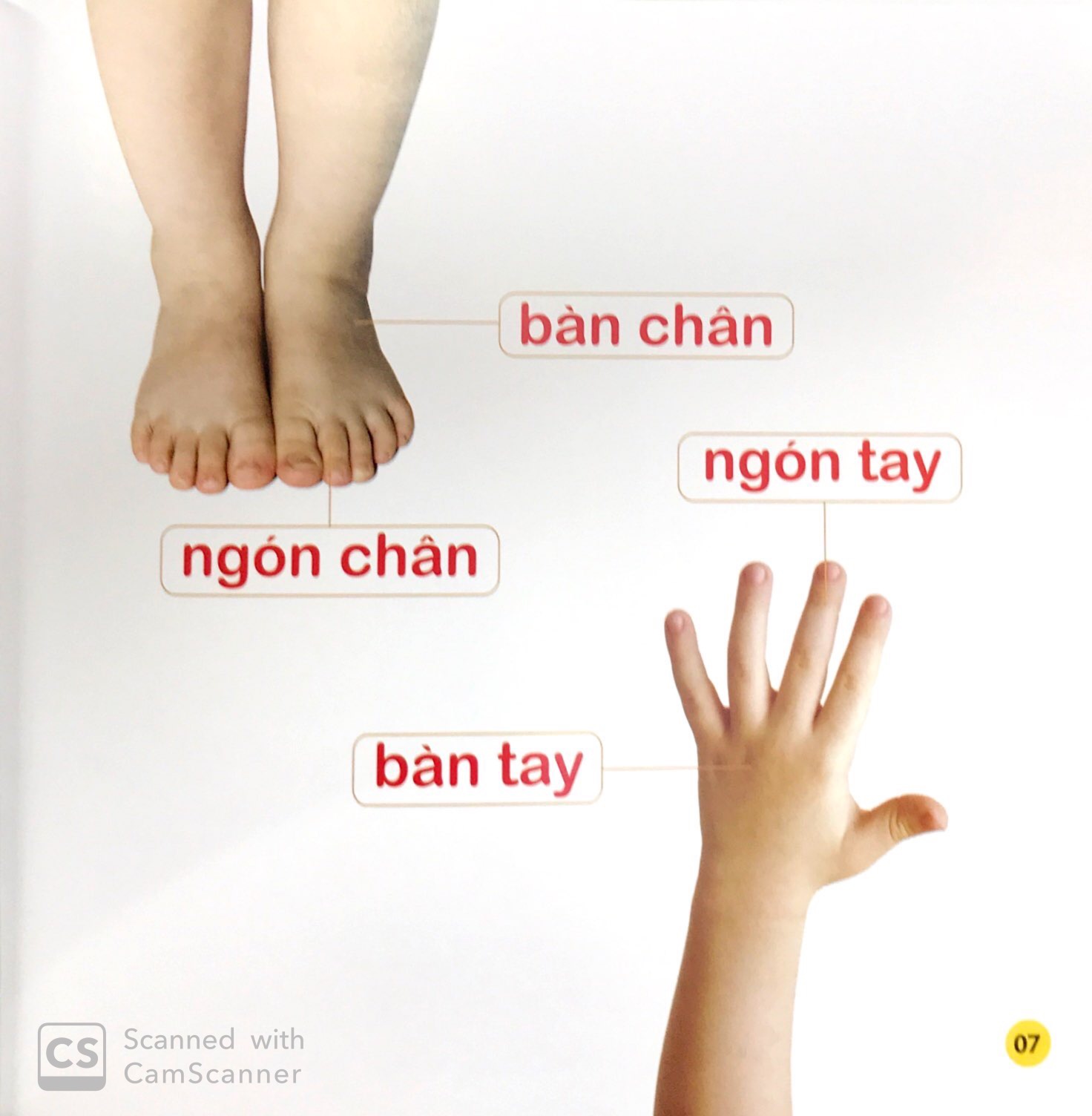 100 từ đầu đời của bé - gia đình yêu thương (tái bản 2023)