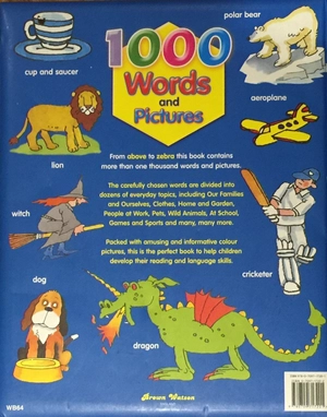 1000 words and pictures