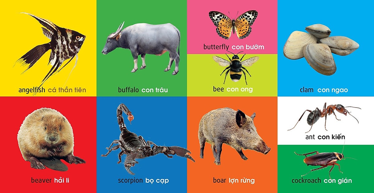 101 First Words - Animals - 101 Từ Đầu Tiên - Động Vật - Bìa Cứng (Tái Bản 2025)