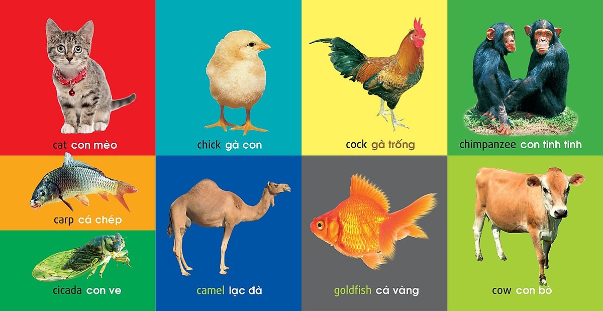 101 First Words - Animals - 101 Từ Đầu Tiên - Động Vật - Bìa Cứng (Tái Bản 2025)