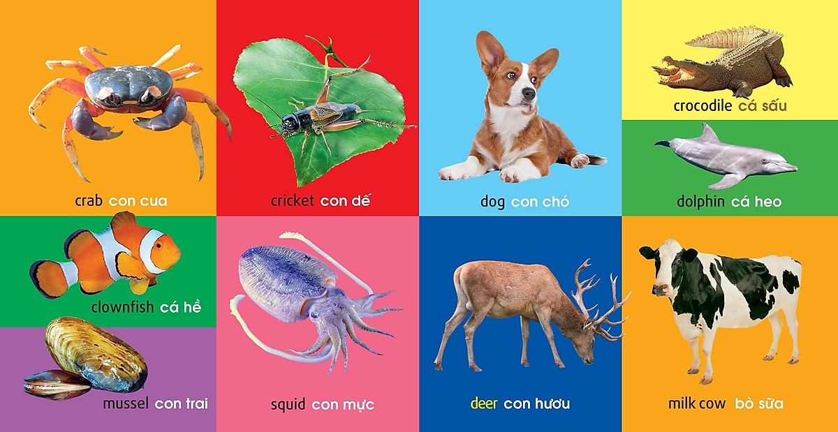 101 First Words - Animals - 101 Từ Đầu Tiên - Động Vật - Bìa Cứng (Tái Bản 2025)