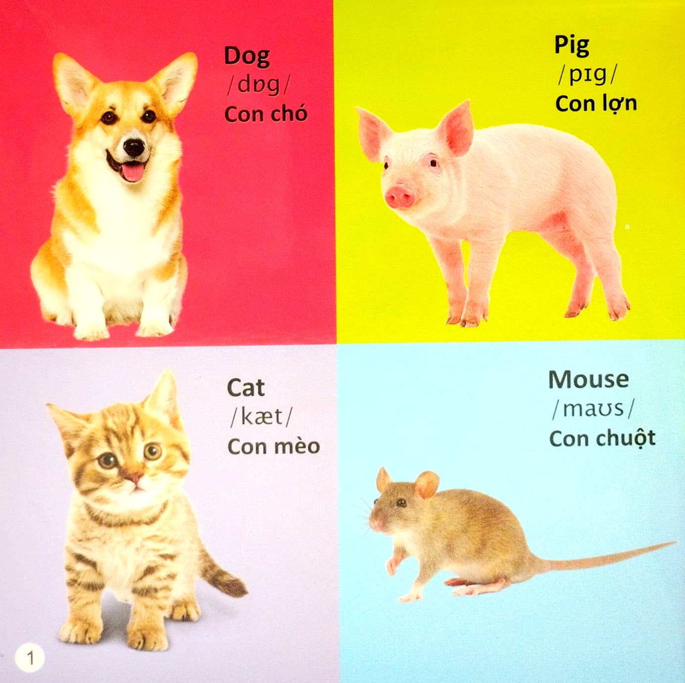 101 first words: animals - 101 từ đầu tiên: động vật (tái bản 2022)