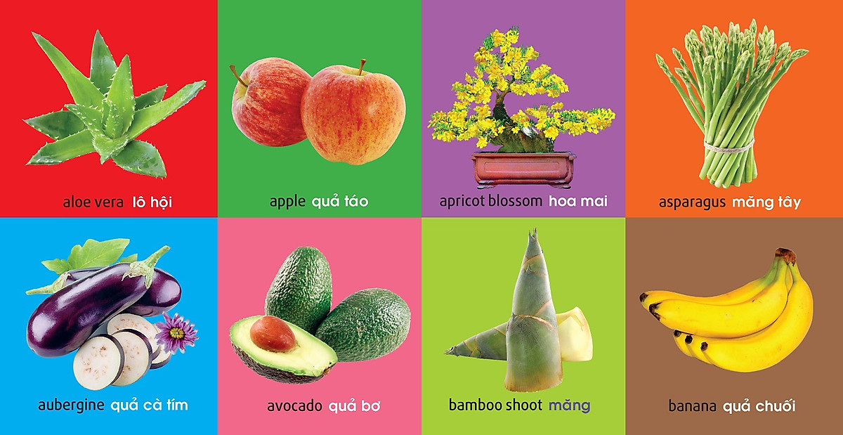 101 First Words - Plants - 101 Từ Đầu Tiên - Thực Vật - Bìa Cứng (Tái Bản 2025)