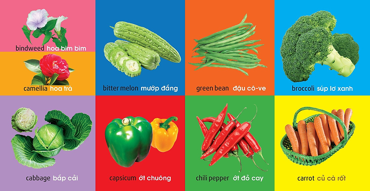 101 First Words - Plants - 101 Từ Đầu Tiên - Thực Vật - Bìa Cứng (Tái Bản 2025)