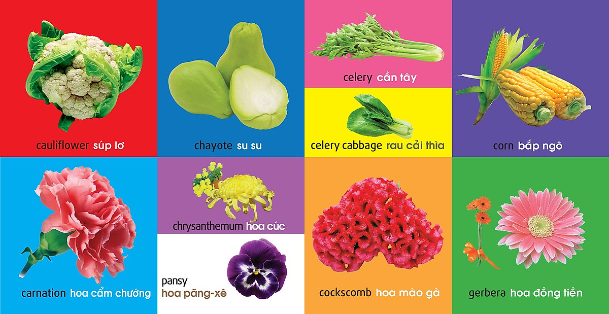 101 First Words - Plants - 101 Từ Đầu Tiên - Thực Vật - Bìa Cứng (Tái Bản 2025)