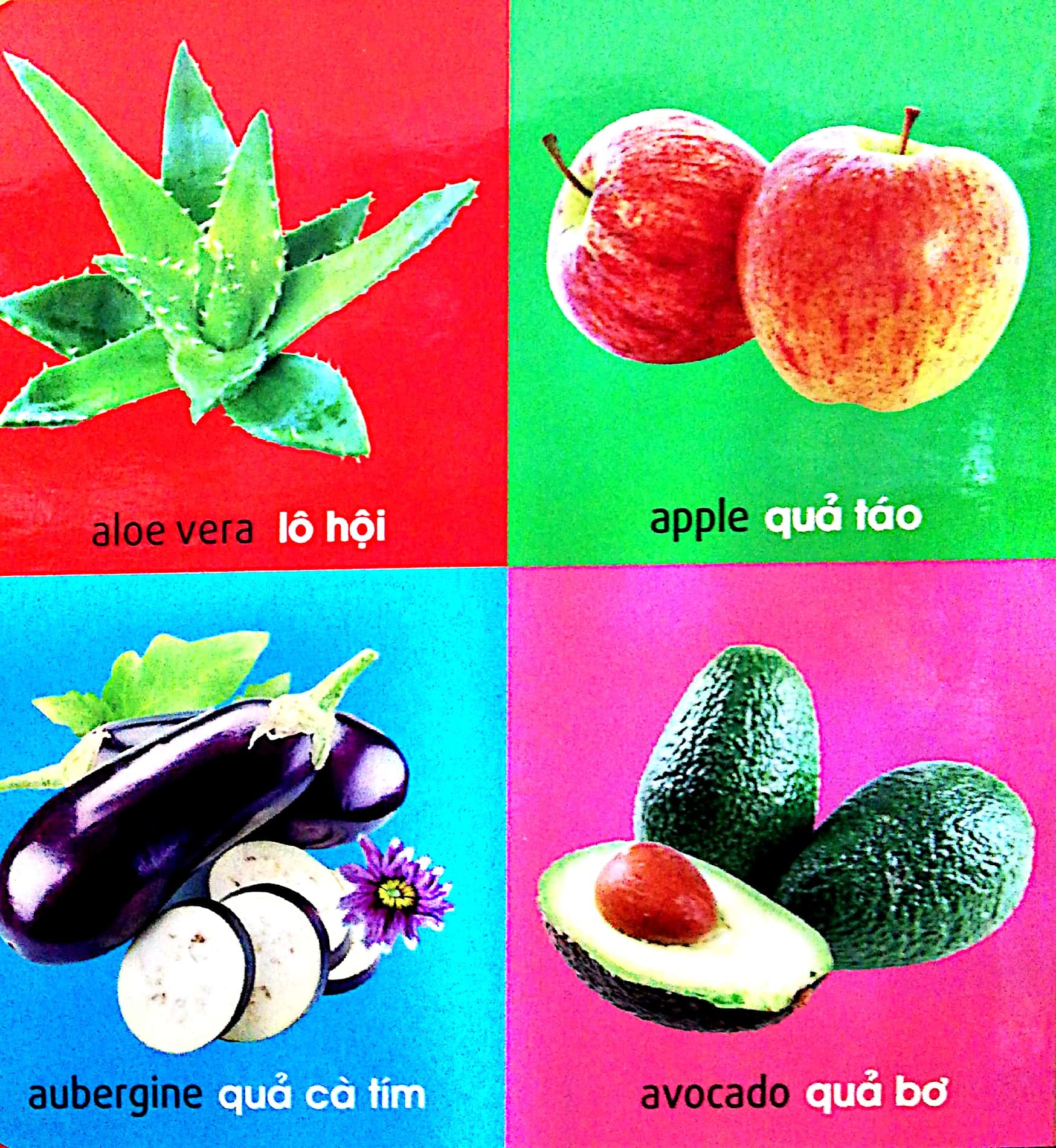 101 First Words - Plants - 101 Từ Đầu Tiên - Thực Vật - Bìa Cứng (Tái Bản 2025)