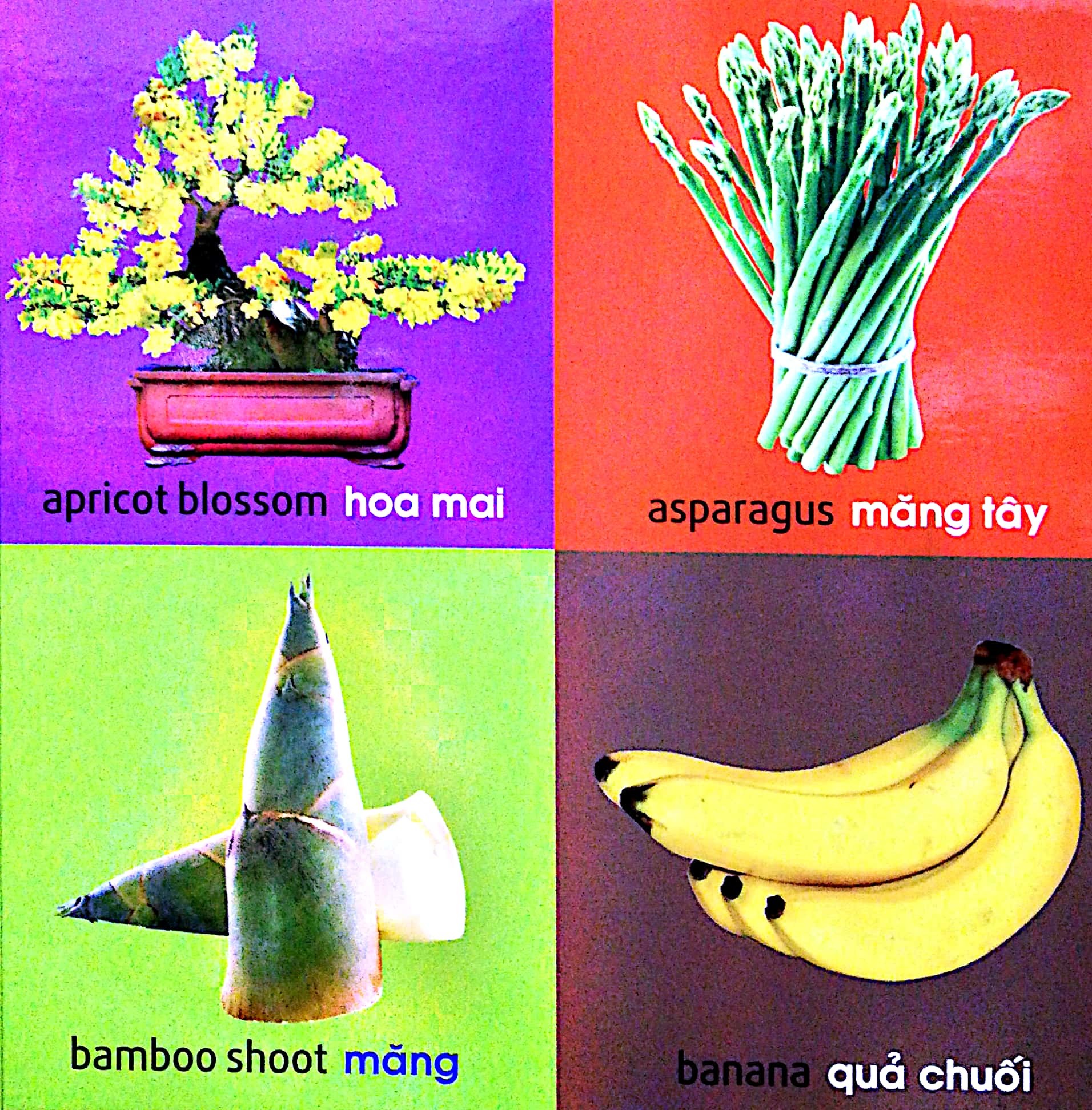 101 First Words - Plants - 101 Từ Đầu Tiên - Thực Vật - Bìa Cứng (Tái Bản 2025)