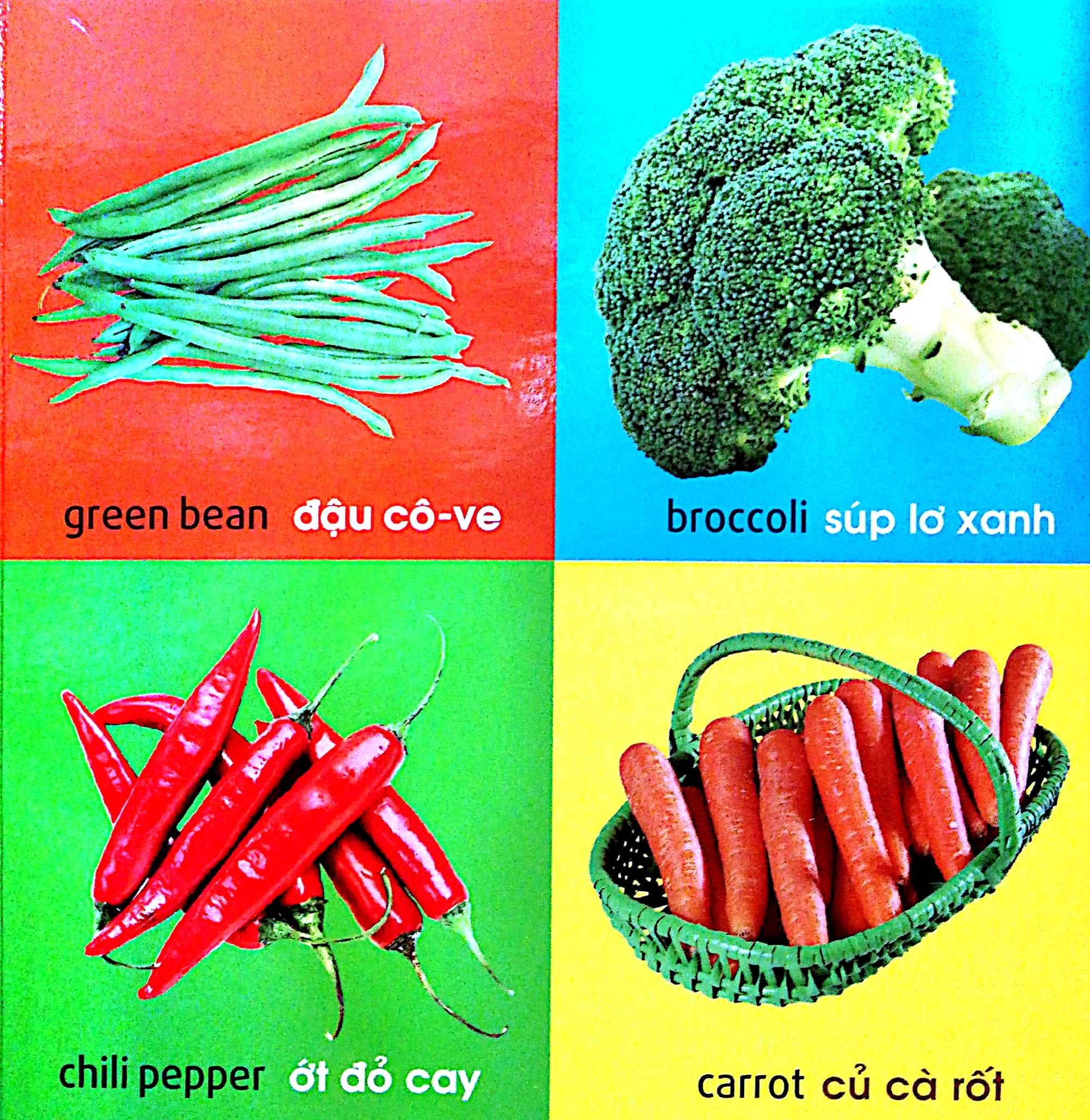 101 First Words - Plants - 101 Từ Đầu Tiên - Thực Vật - Bìa Cứng (Tái Bản 2025)