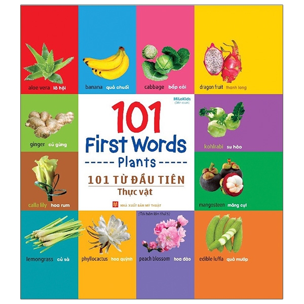 101 First Words - Transport- 101 Từ Đầu Tiên - Giao Thông - Bìa Cứng (Tái Bản 2021)