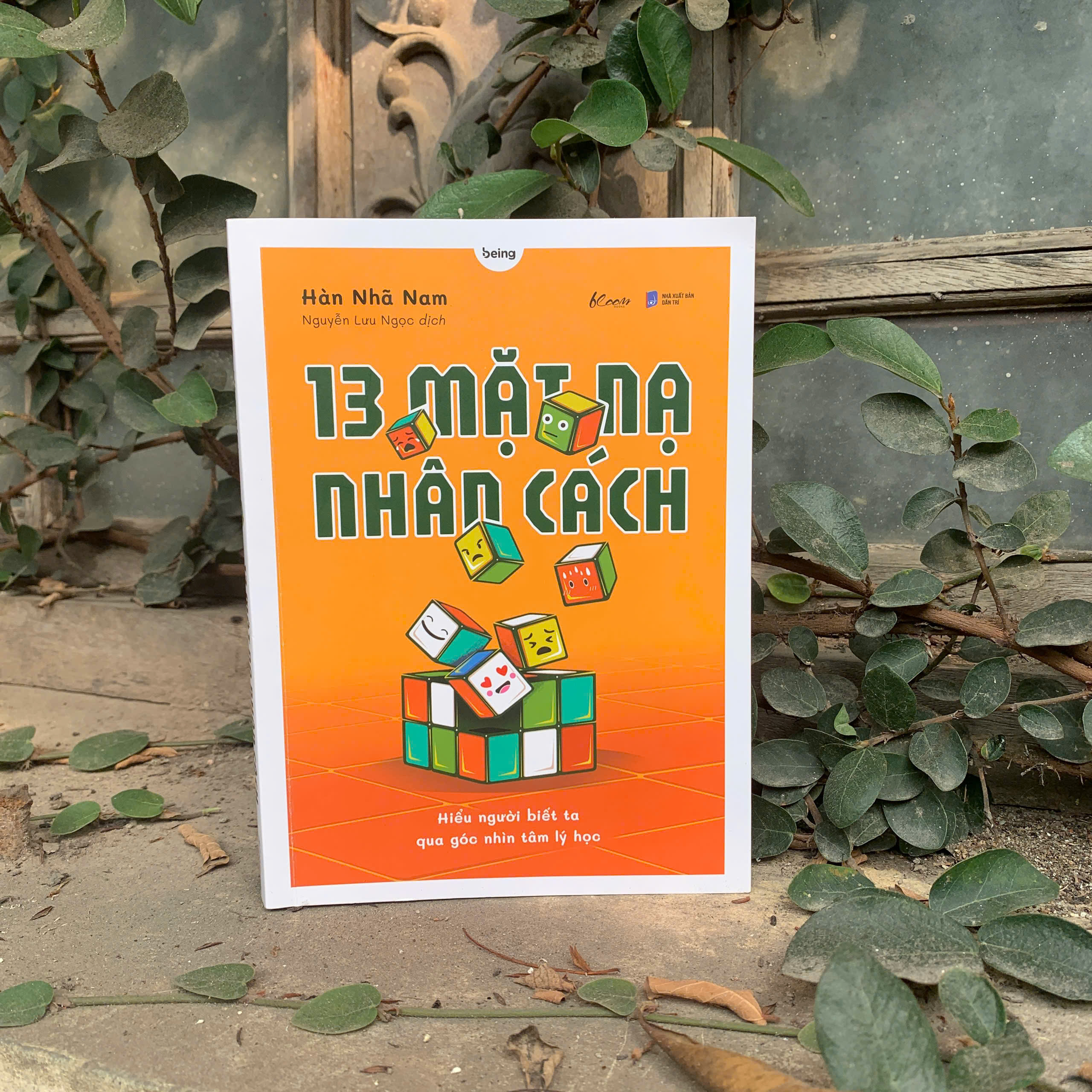 13 Mặt Nạ Nhân Cách