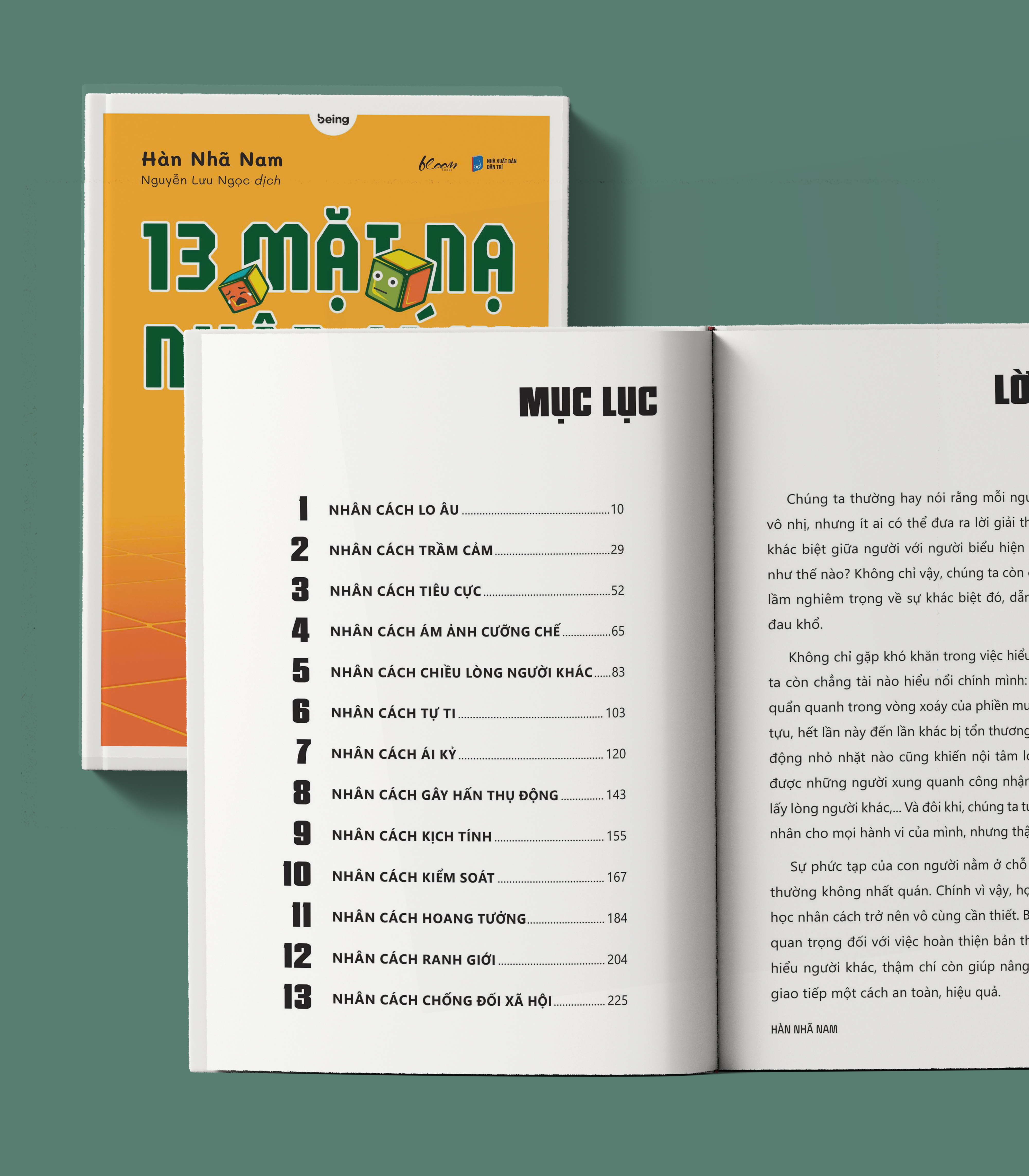 13 Mặt Nạ Nhân Cách