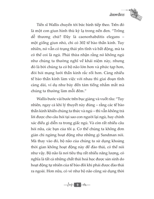 14 ngày đẫm máu