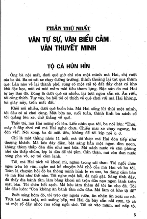 207 đề và bài văn hay 10