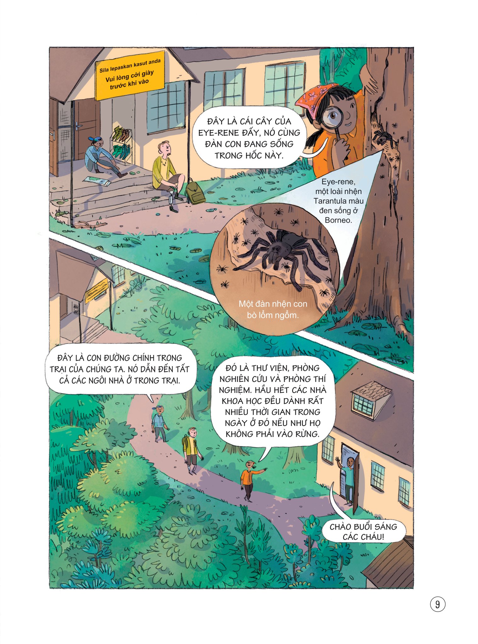 24 giờ trong rừng nhiệt đới