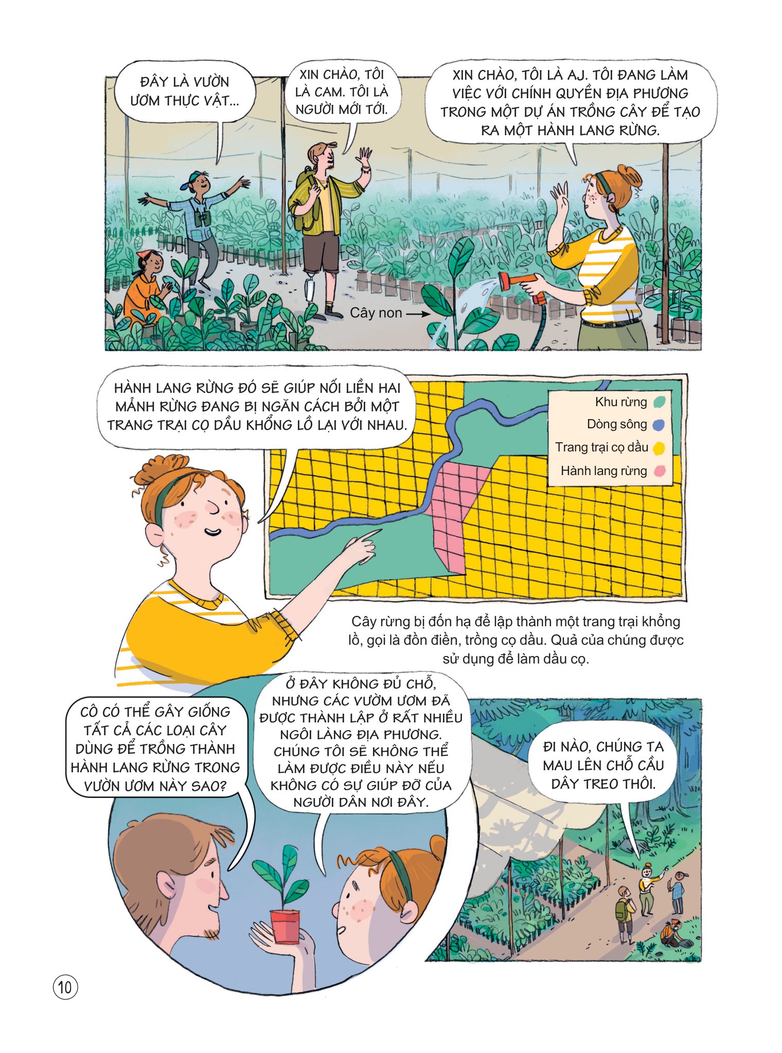 24 giờ trong rừng nhiệt đới