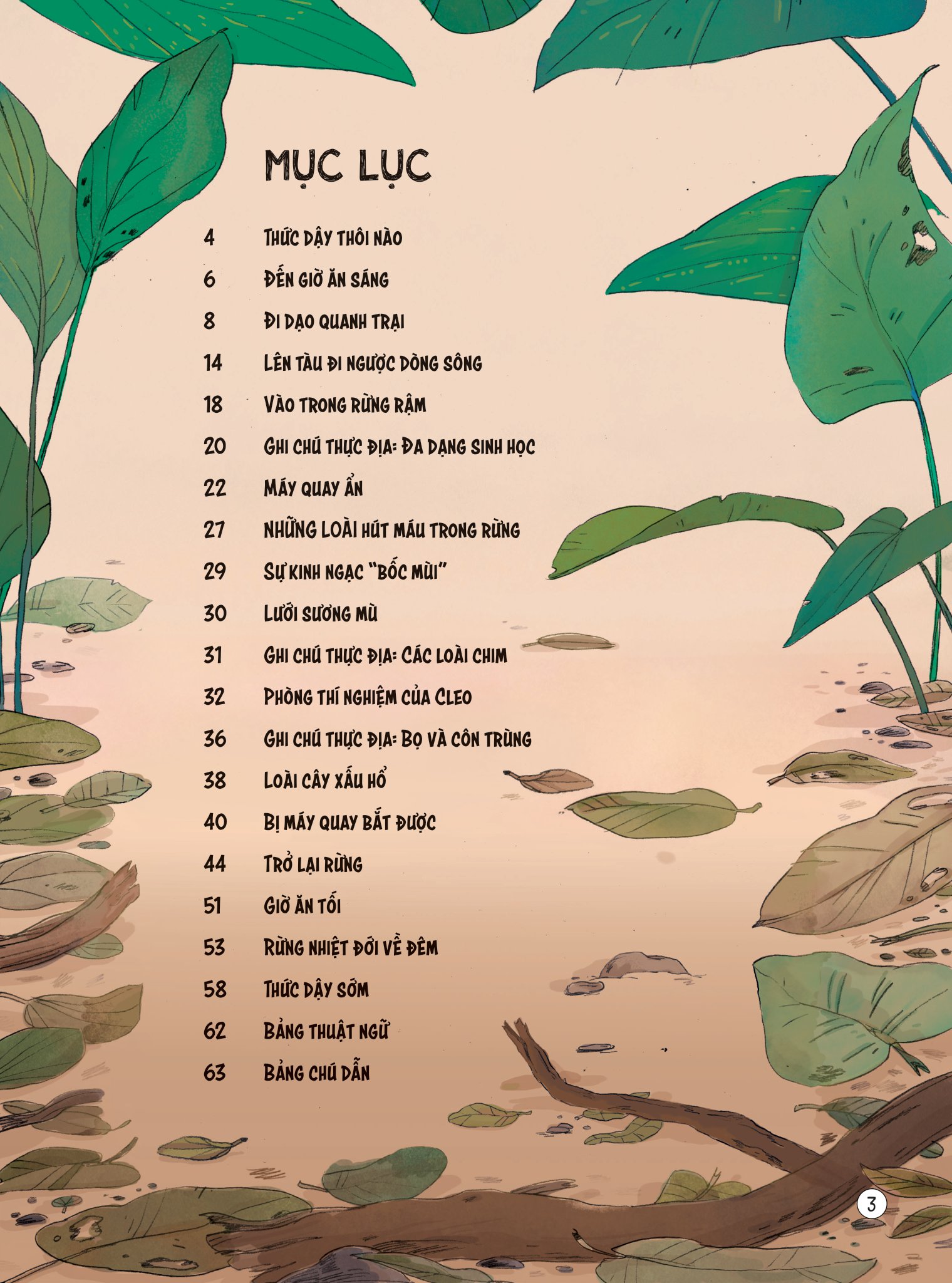 24 giờ trong rừng nhiệt đới