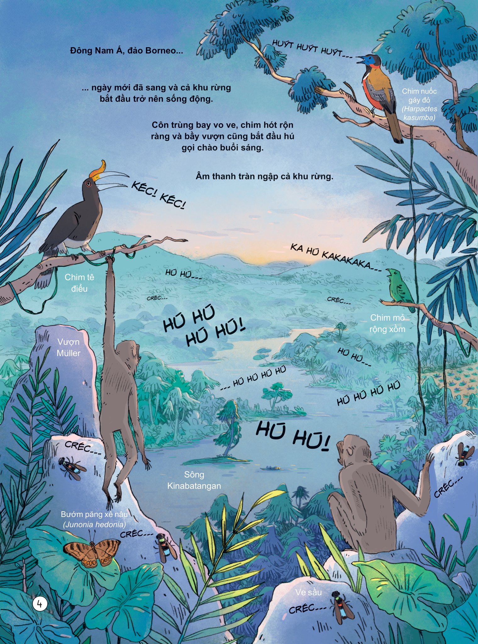 24 giờ trong rừng nhiệt đới