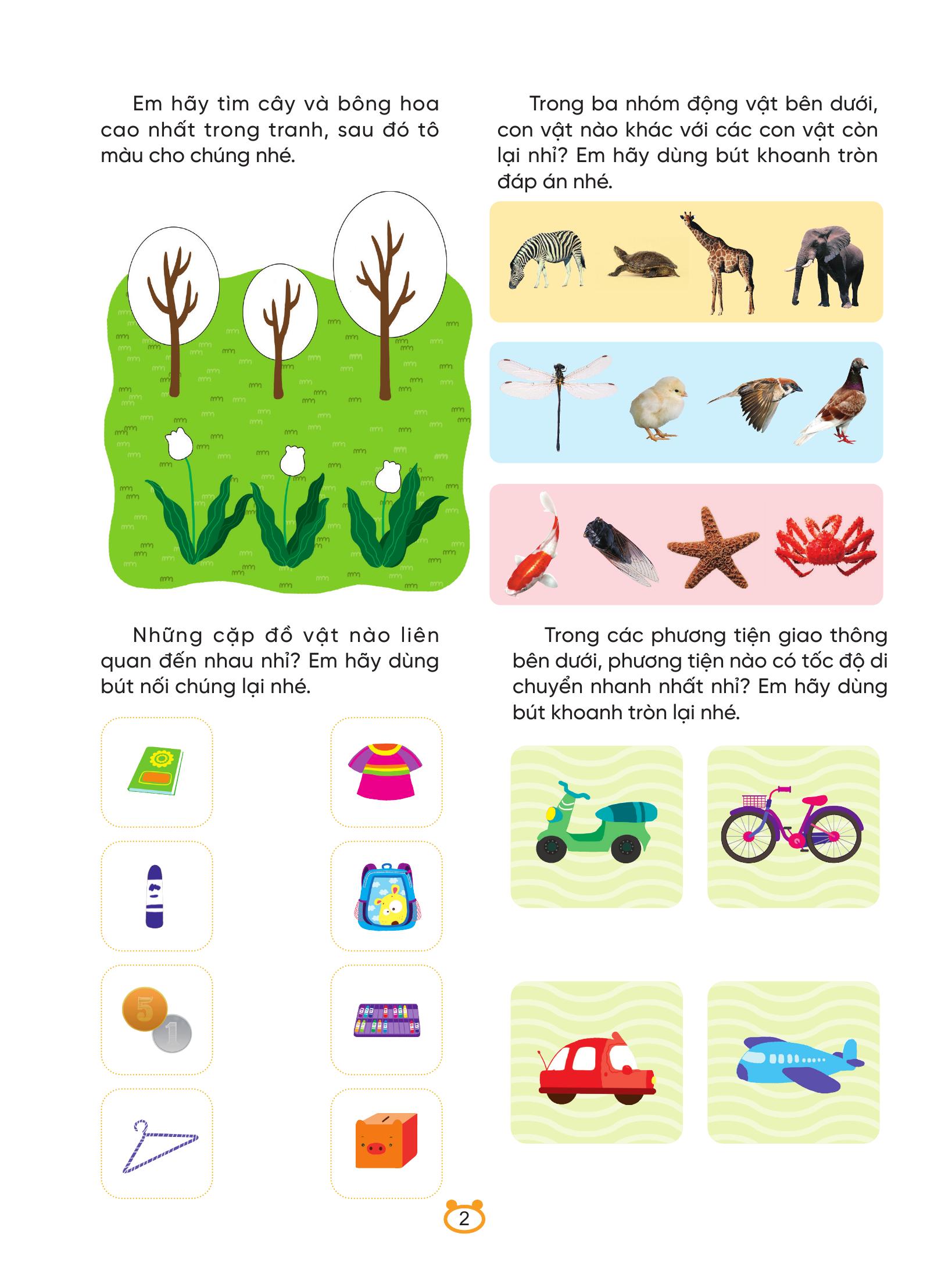 250++ Câu Đố Phát Triển Trí Não Toàn Diện - Rèn Luyện Khả Năng Quan Sát Cơ Bản