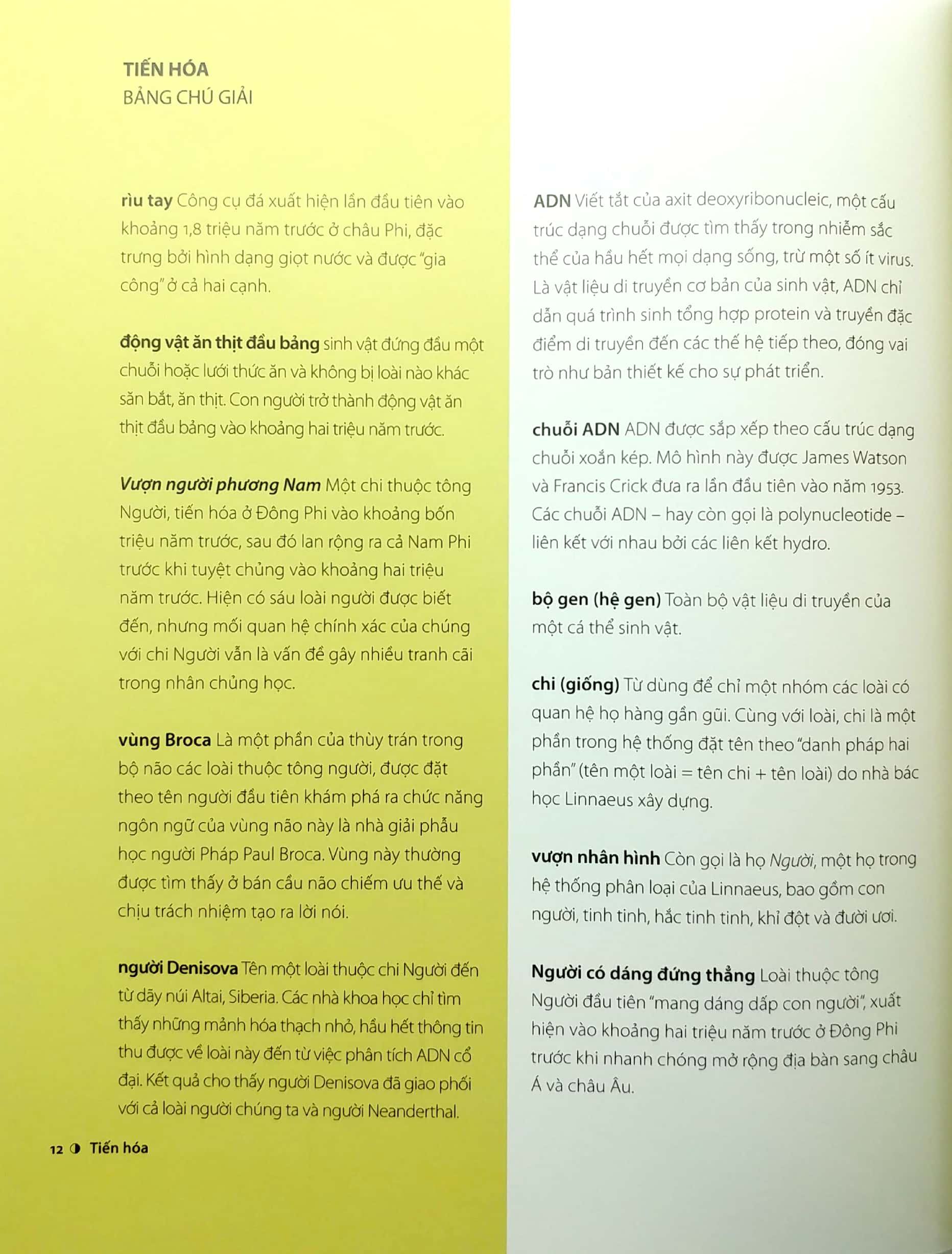 30 giây nhân chủng học