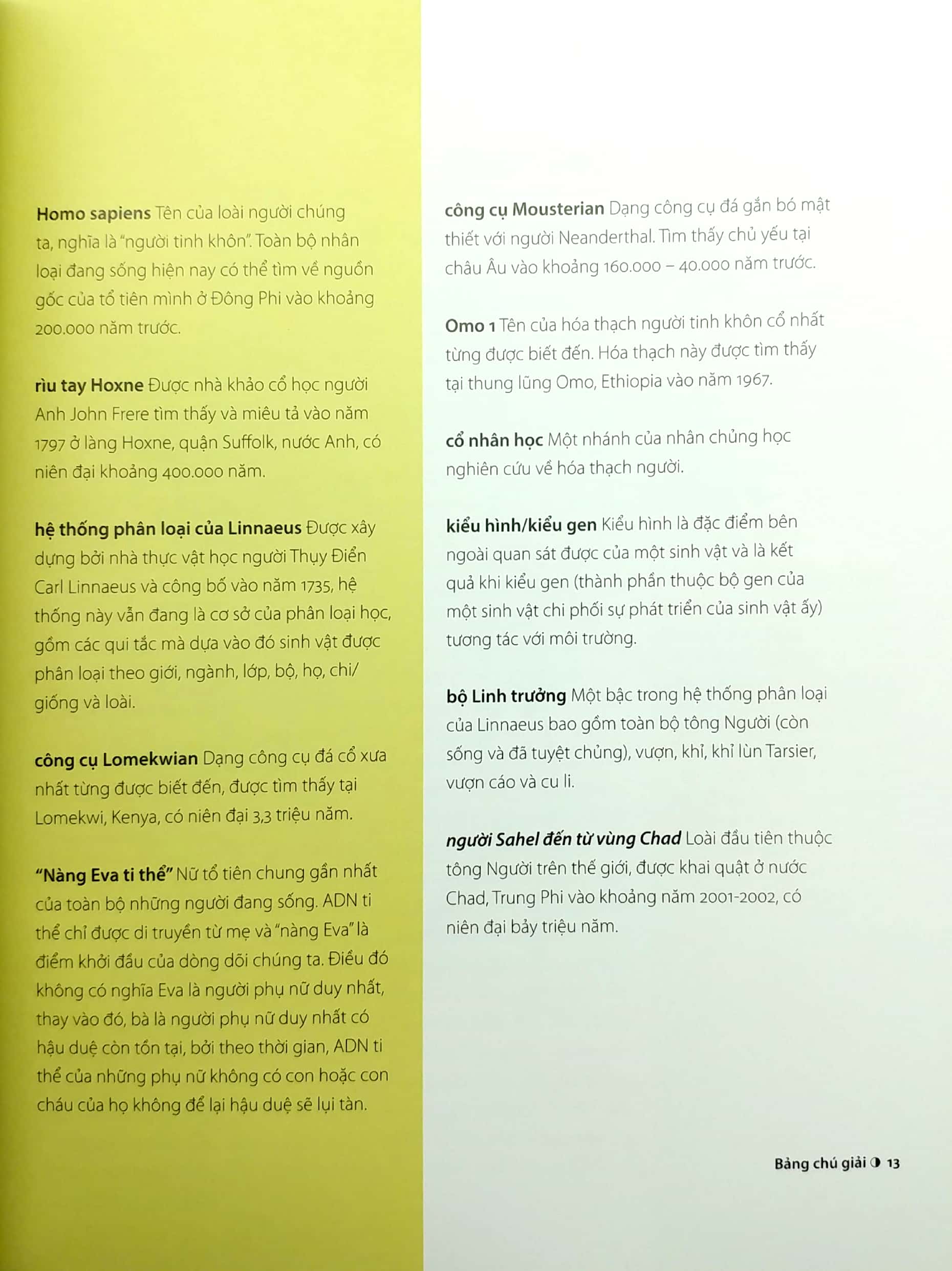 30 giây nhân chủng học