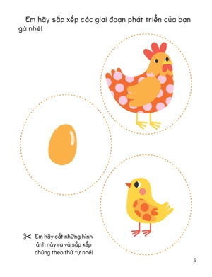 30++ hoạt động rèn luyện kỹ năng tư duy cho trẻ - sắp xếp theo thứ tự