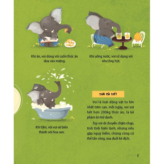 300 câu hỏi khoa học vui - động vật: tại sao chim công thích múa?