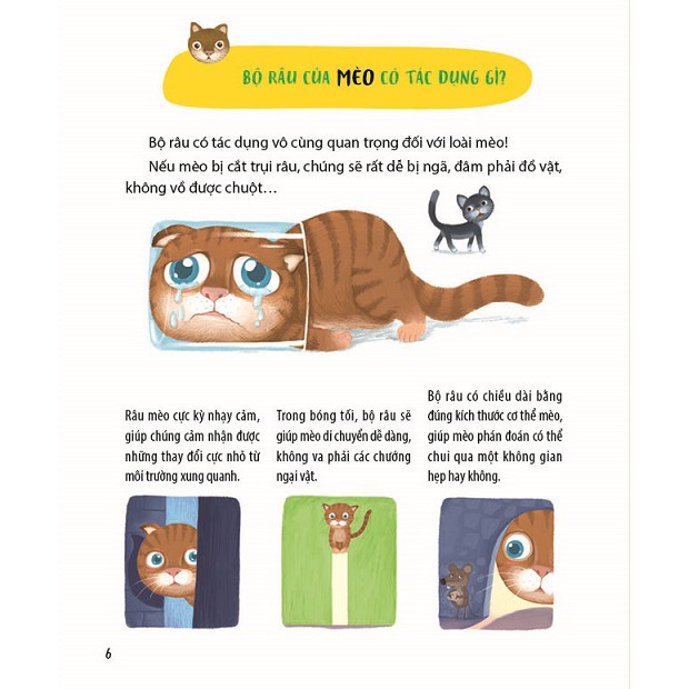 300 câu hỏi khoa học vui - động vật: tại sao chim công thích múa?