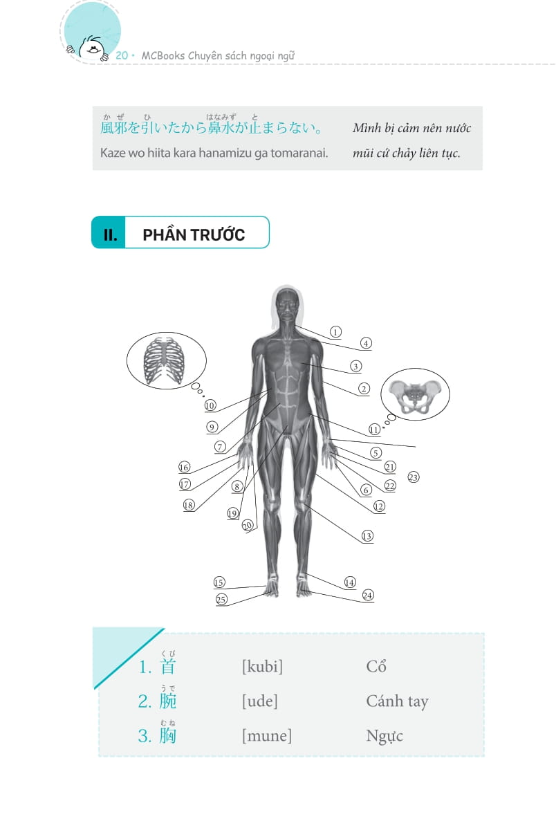 3000 từ vựng tiếng nhật theo chủ đề