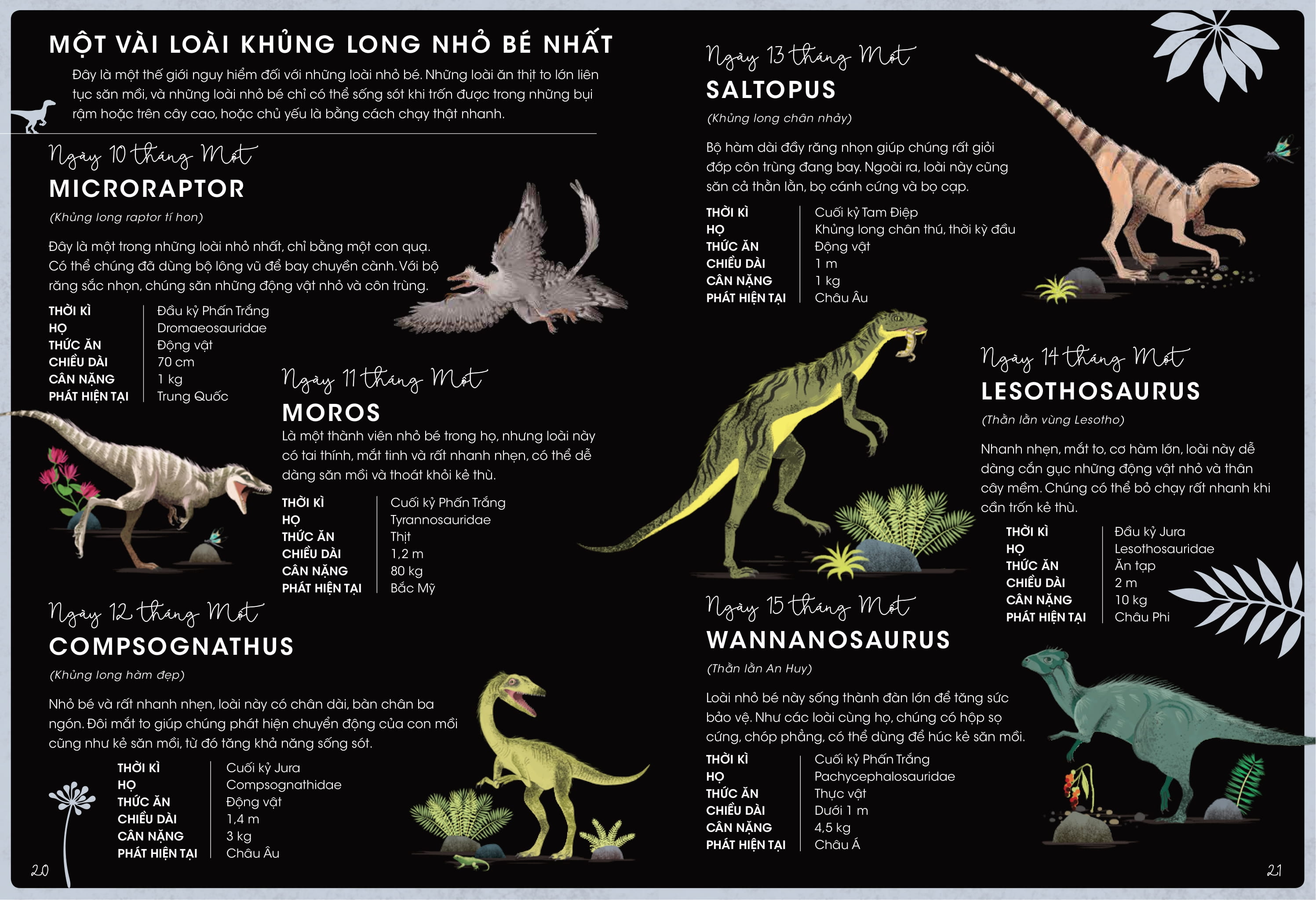 365 ngày khủng long