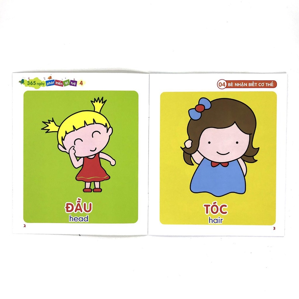 365 ngày phát triển trí tuệ - bộ 4 (8 cuốn/ túi)