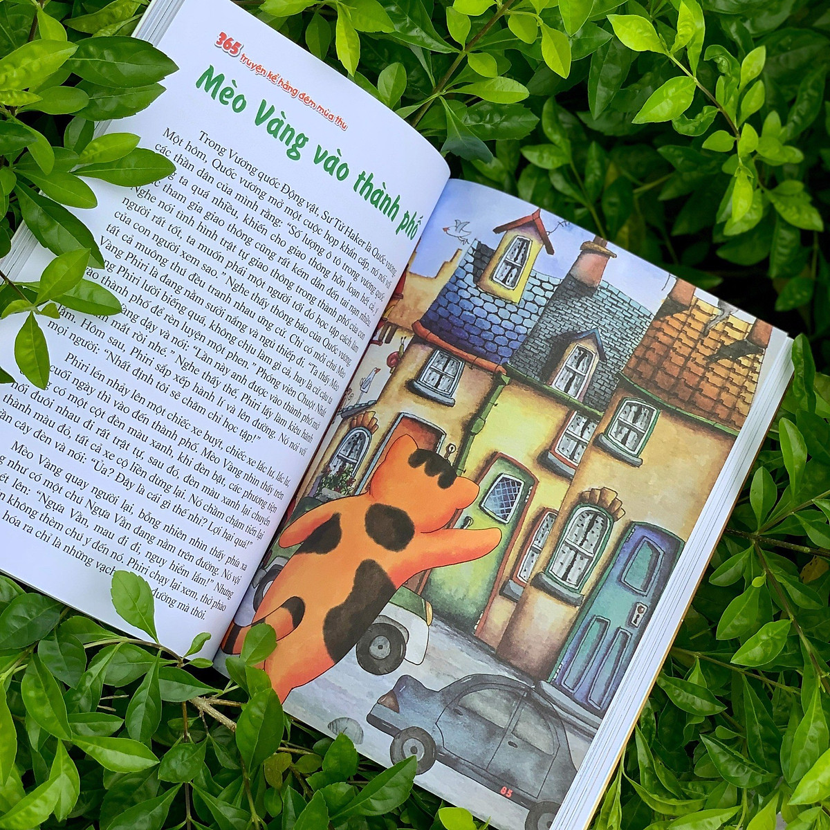 365 truyện kể hằng đêm - mùa thu (2022)