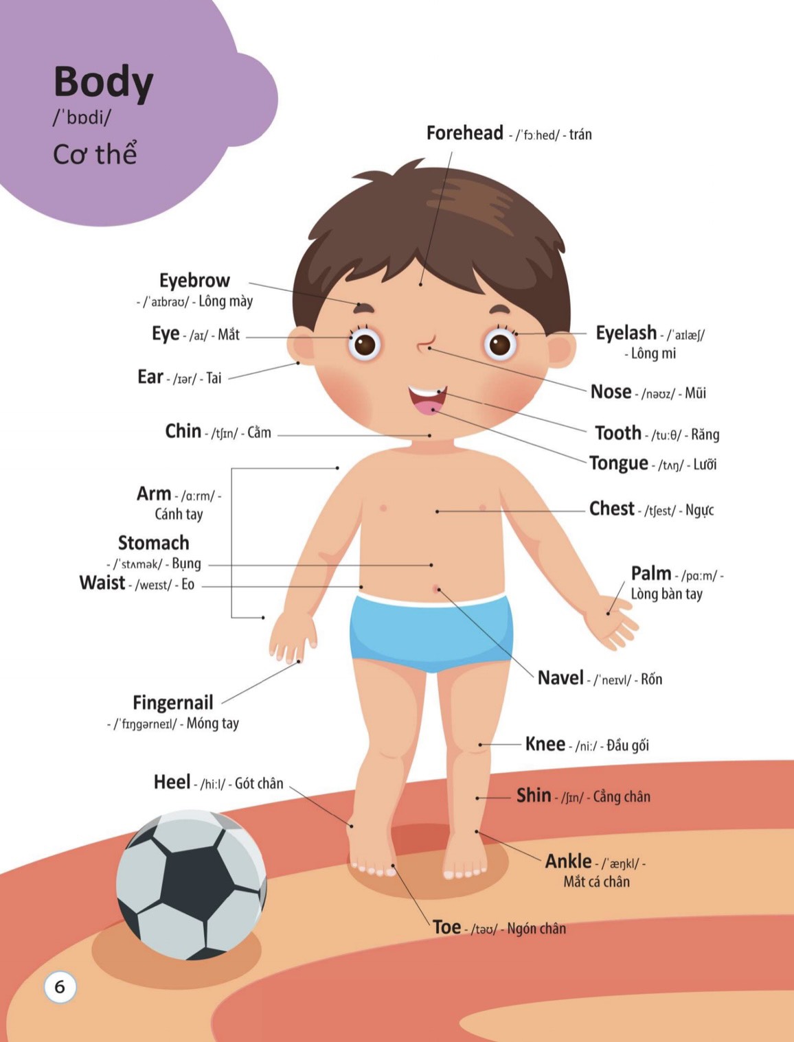 4000 từ vựng và mẫu câu tiếng anh thiết yếu cho trẻ em