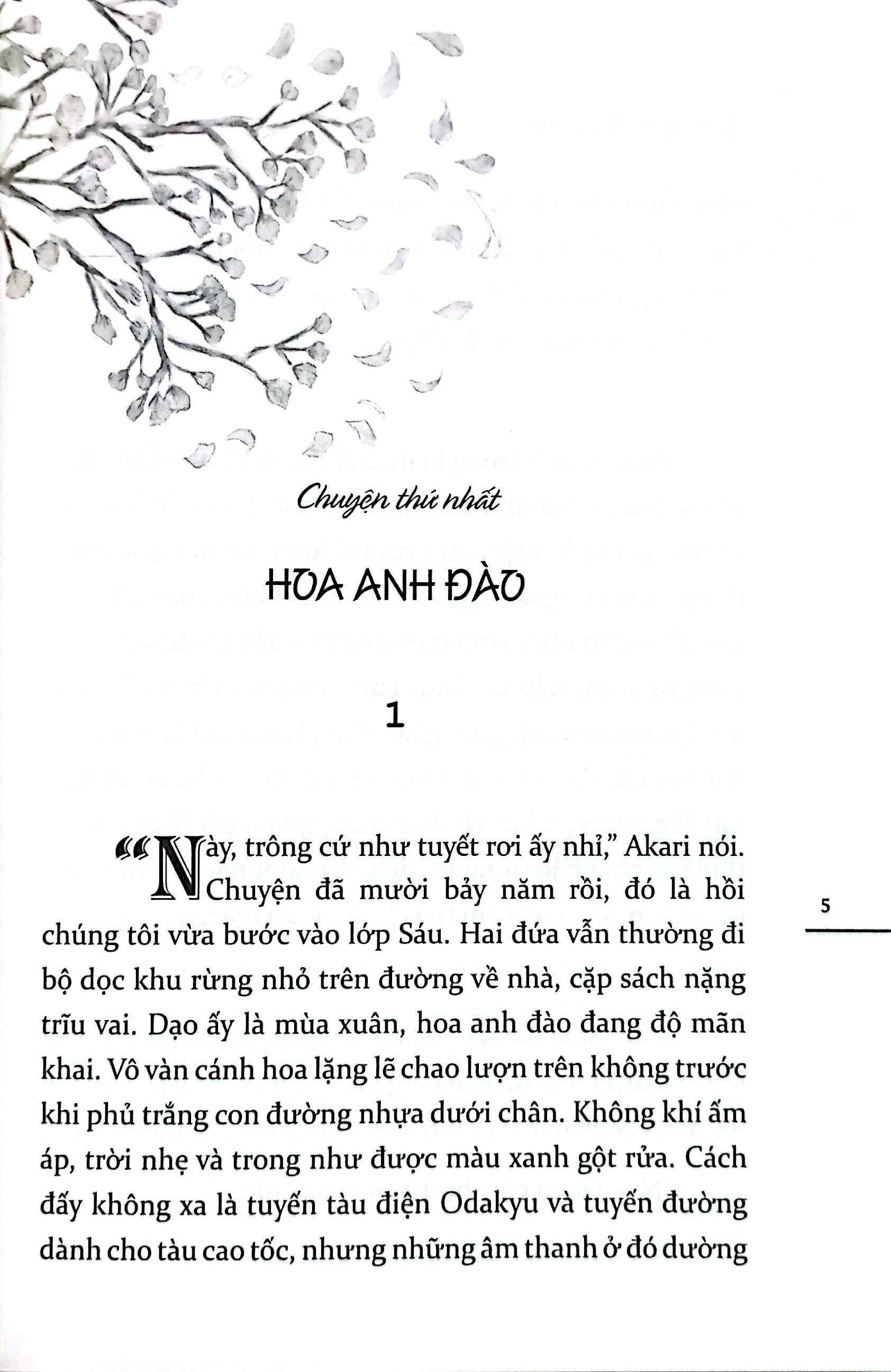 5 Centimet Tren Giay (Tai Ban 2025)