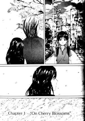 5 centimeters per second