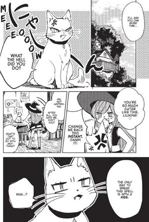 5 seconds before a witch falls in love