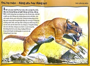 500 dữ kiện khoa học về động vật ăn thịt