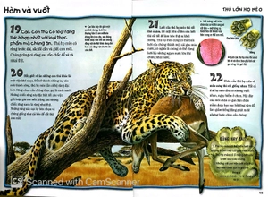 500 dữ kiện khoa học về động vật ăn thịt