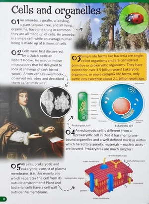 500 fantastic facts - biology