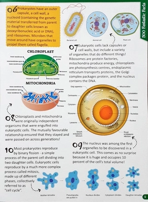 500 fantastic facts - biology