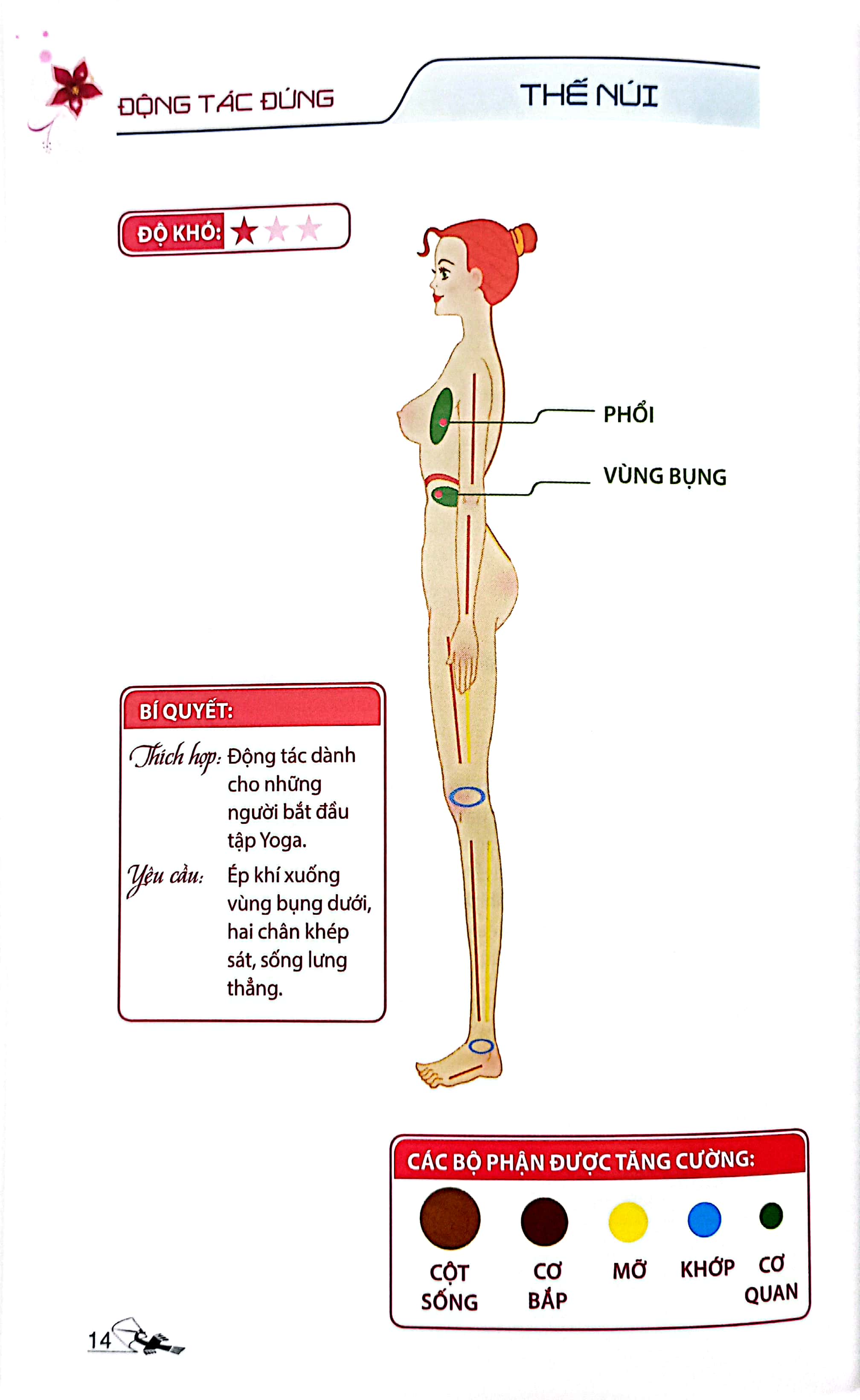 52 thế yoga hiệu quả và dễ tập (tái bản 2024)